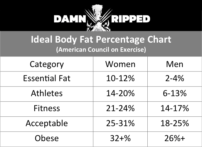 Body Fat Calculator - Damn Ripped!